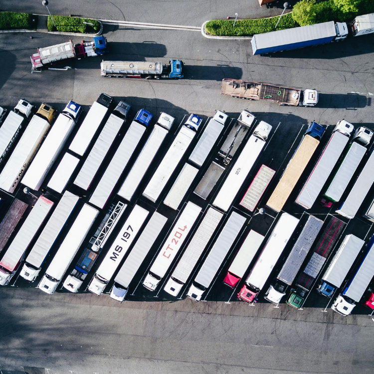 Truck with cargo trailer for international road transport